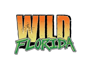 One + Pickleball Court | Premier Indoor Pickleball in St. Cloud, Florida